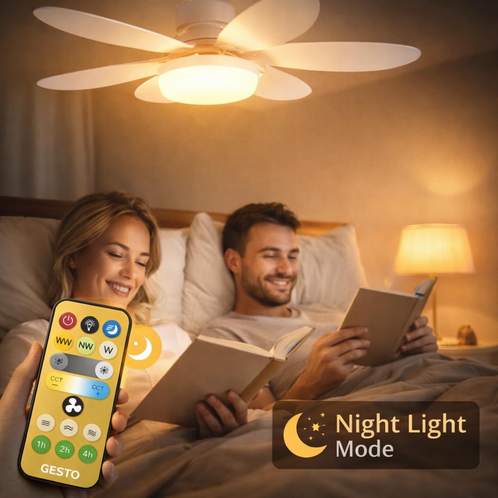 LED Ceiling Fan & Light with Remote