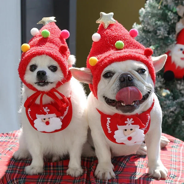 Pet Christmas Hat + Scarf