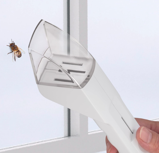 Humane Insect Catcher