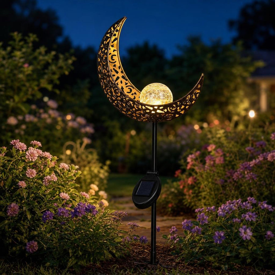 ✨ Add a Little Moonlight to Your Garden Today