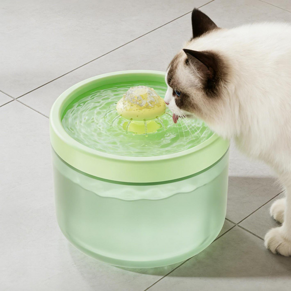 📢📢50% OFF !!!⏰Automatic Large Capacity Cat Water Fountain
